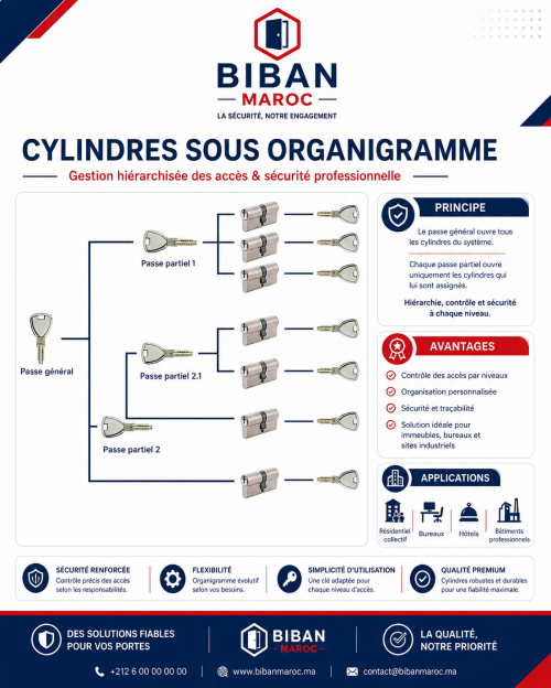 Cylindres sous organigrammes